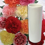Mixed Carnations 12 stems with Ceramic Vase + FREE Diary, £13.98
