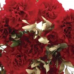 Red and Gold Carnations 12 Stems + FREE Diary, £12.99