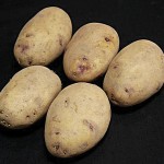 Kestrel Seed Potatoes (1kg), £3.99
