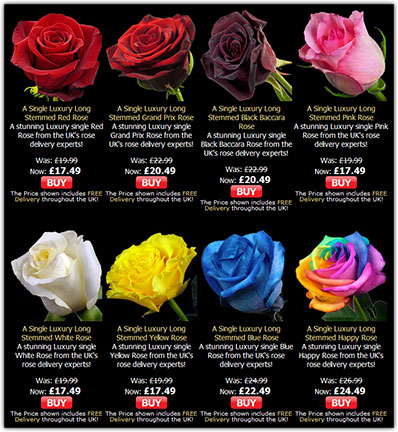 Premium long–stemmed single roses from InterRose.co.uk