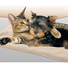 Self-Heating Pet Beds