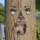 Tree Faces