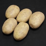 Maris Piper Seed Potatoes 1 Kg, only £3.99!