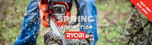 spring-into-action