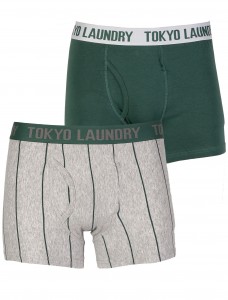 Tokyo-Laundry-Joshua-boxer-shorts-green-1P6171