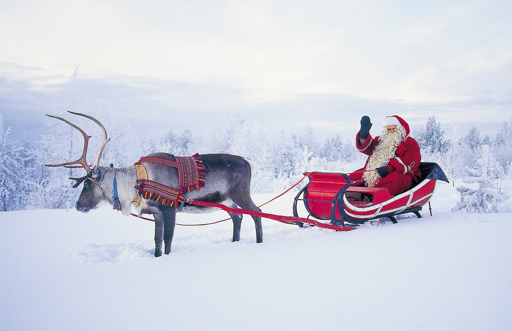 Visit Santa in Lapland this Christmas