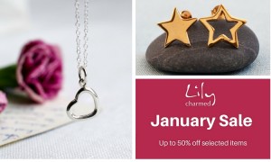 January Sale montage with Logo